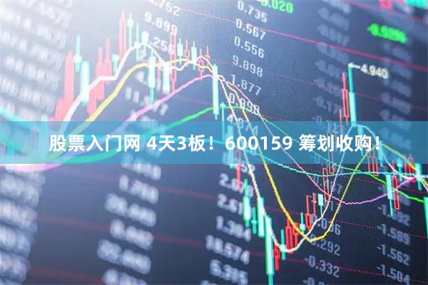 股票入门网 4天3板！600159 筹划收购！
